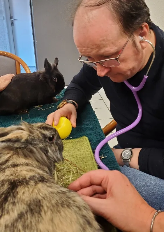 Pourquoi la médiation animale ?