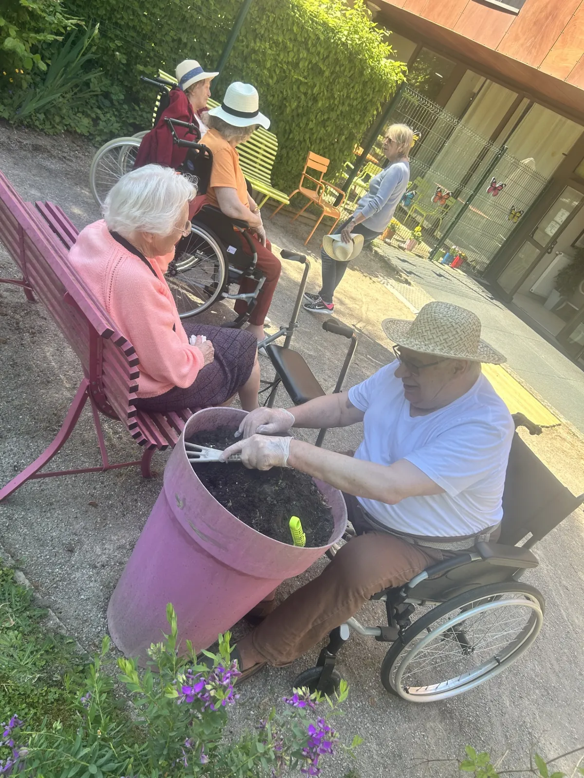  Sous le Soleil, Notre Jardin S'épanouit en Couleurs 