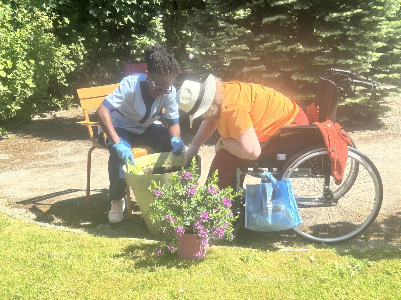 Sous le Soleil, Notre Jardin S'épanouit en Couleurs 