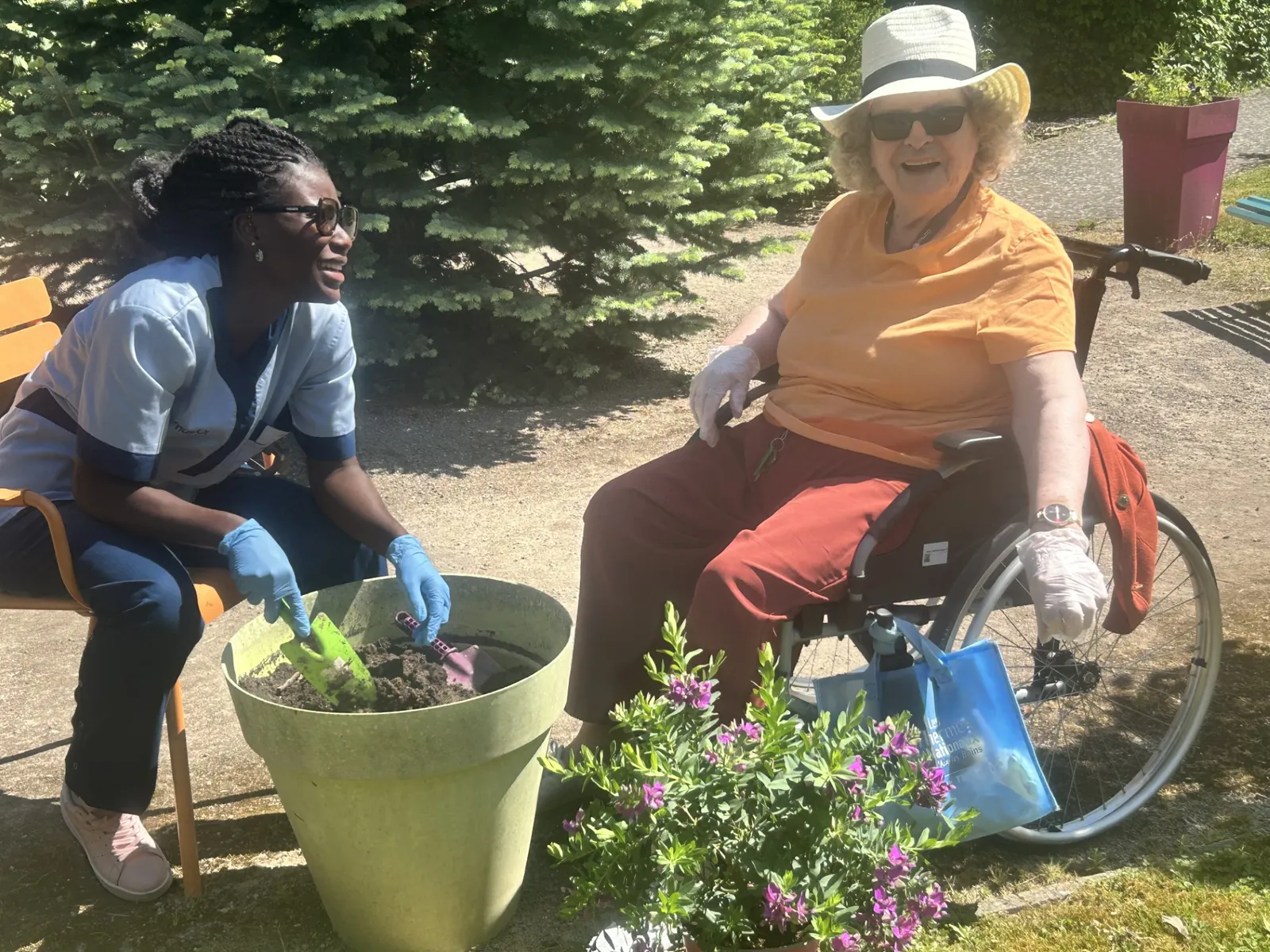  Sous le Soleil, Notre Jardin S'épanouit en Couleurs 