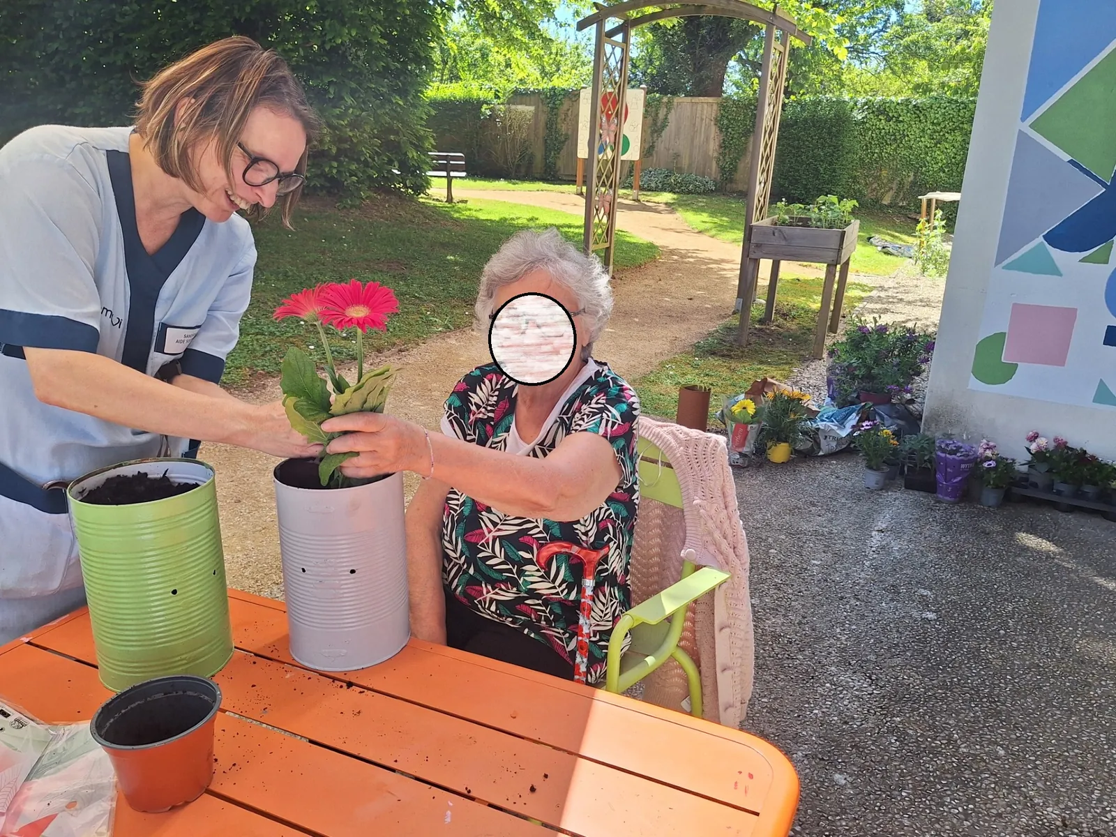  Sous le Soleil, Notre Jardin S'épanouit en Couleurs 