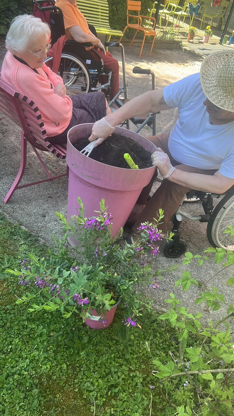  Sous le Soleil, Notre Jardin S'épanouit en Couleurs 