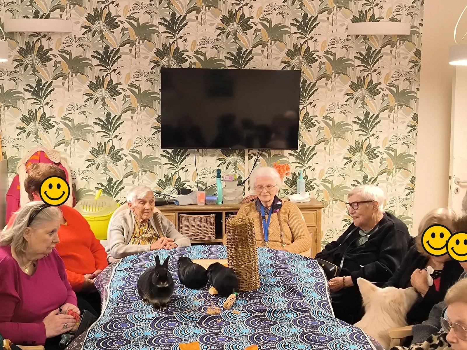 Un après-midi de Zoothérapie
