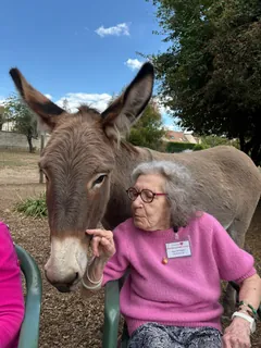 Sortie à la ferme