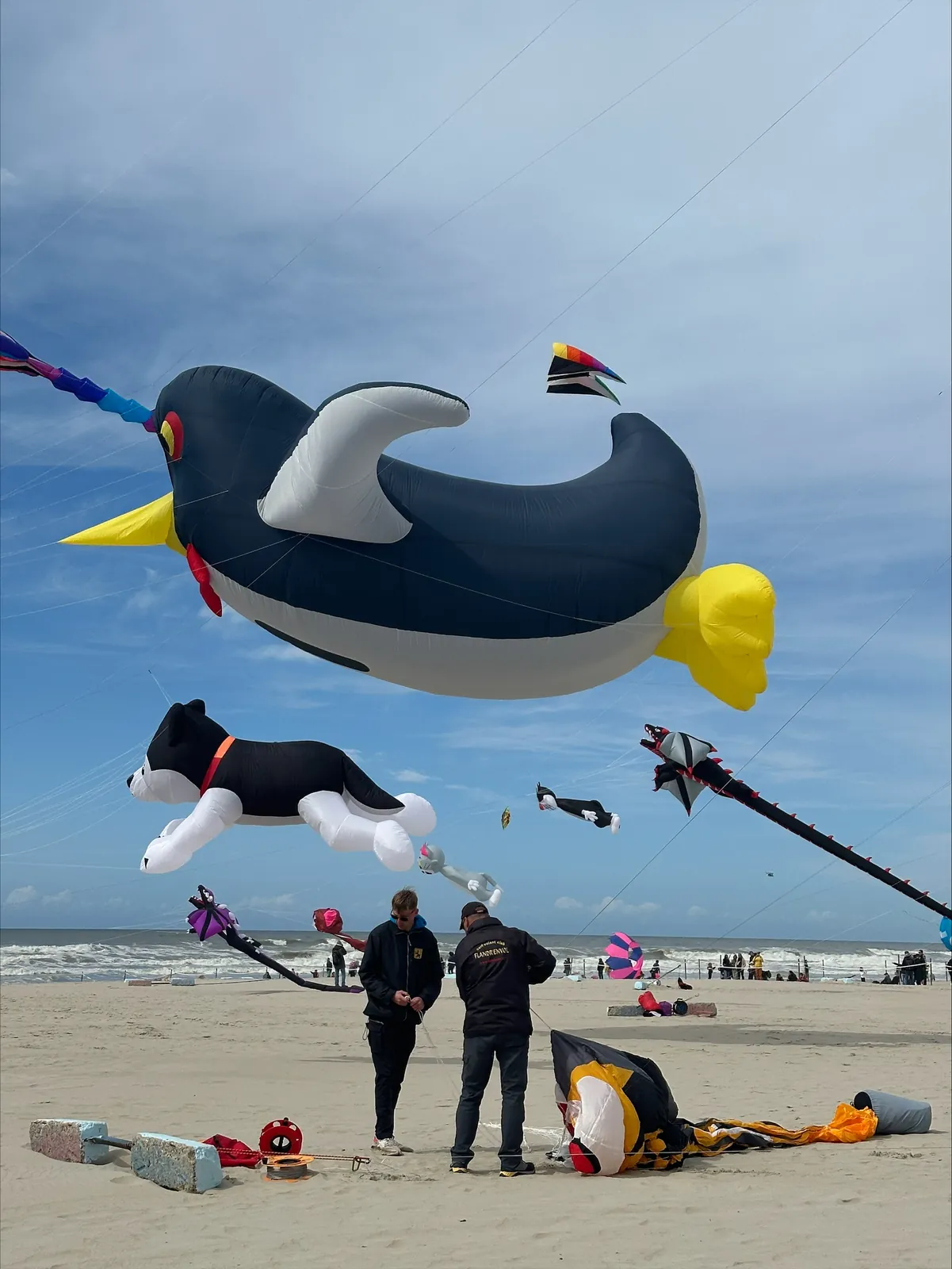 Entre Délices et Cerfs-Volants : Une Escapade à Berck