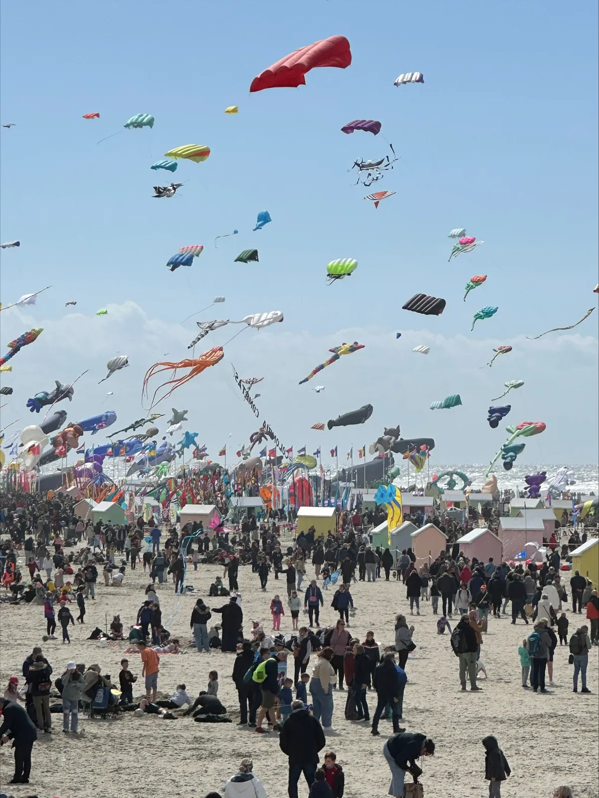 Entre Délices et Cerfs-Volants : Une Escapade à Berck