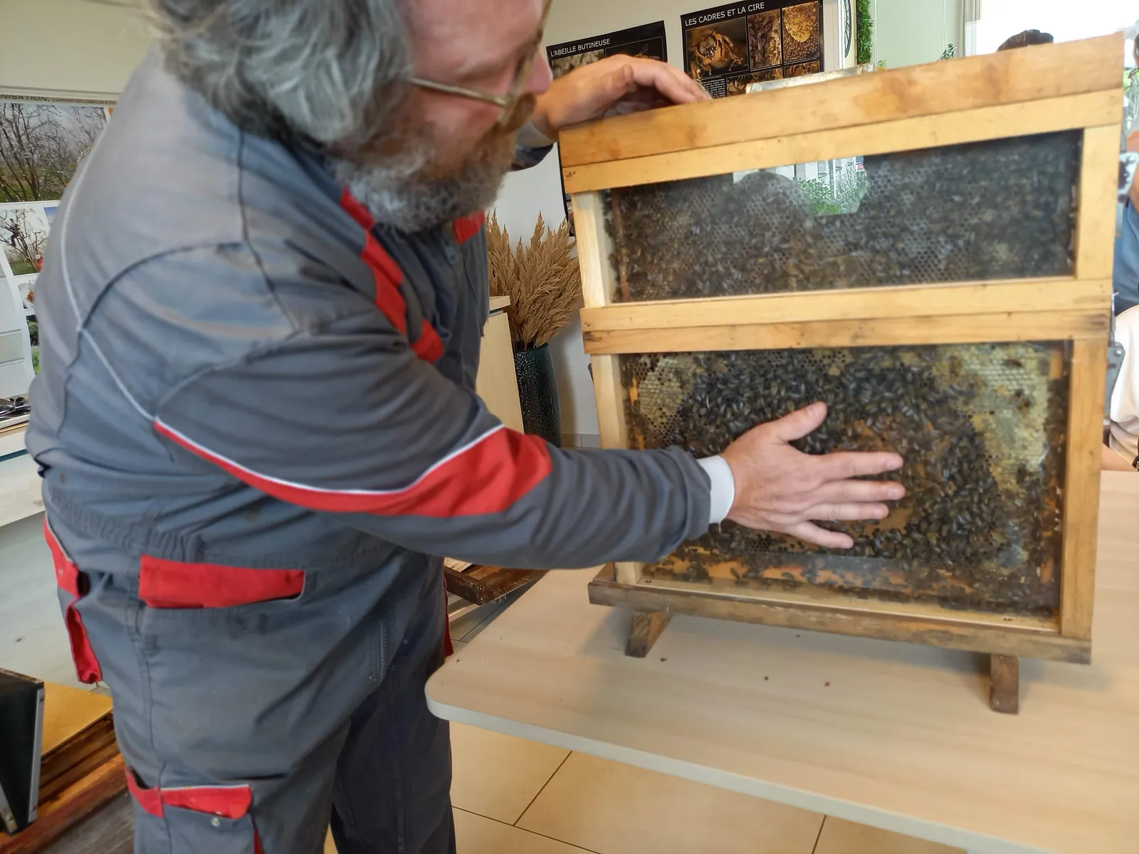 Découverte de l'apiculture !