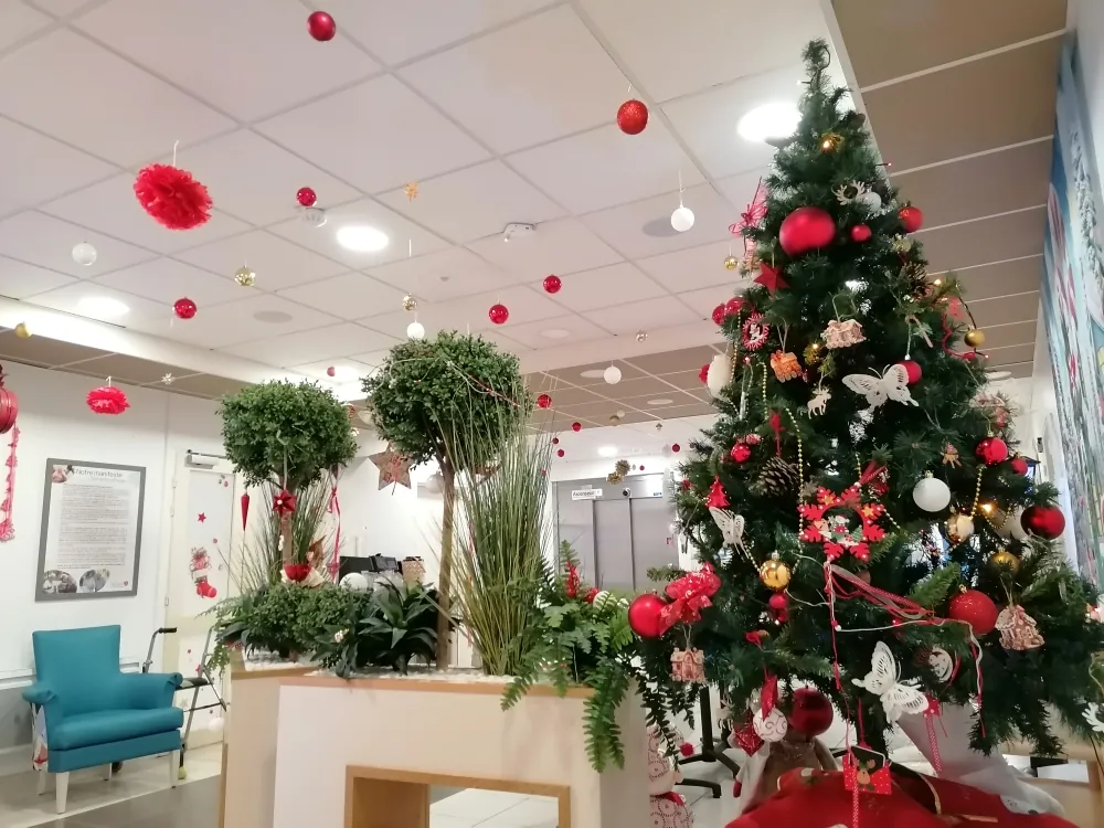La Magie de Noël à l'EHPAD d'Esbly