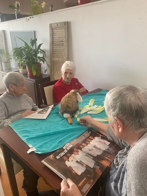 les animaux 