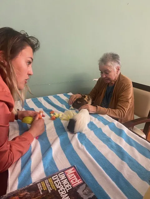 les animaux 