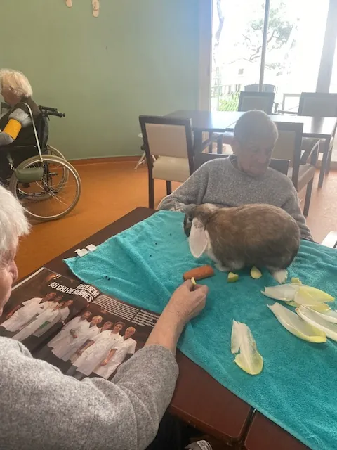 les animaux 