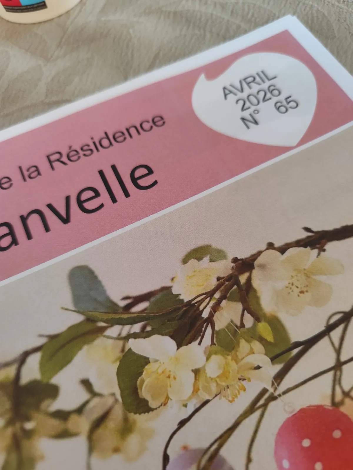 Activités du jour 