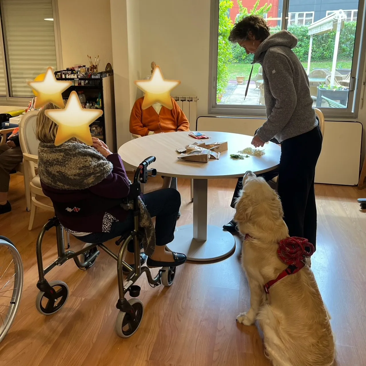 Sophie et Biscuit proposent un atelier autour du Sureau !