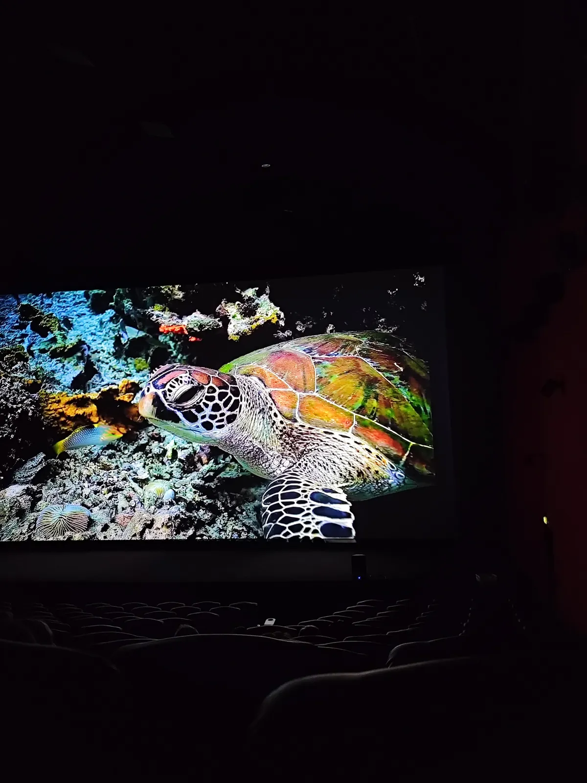 Sortie cinéma 