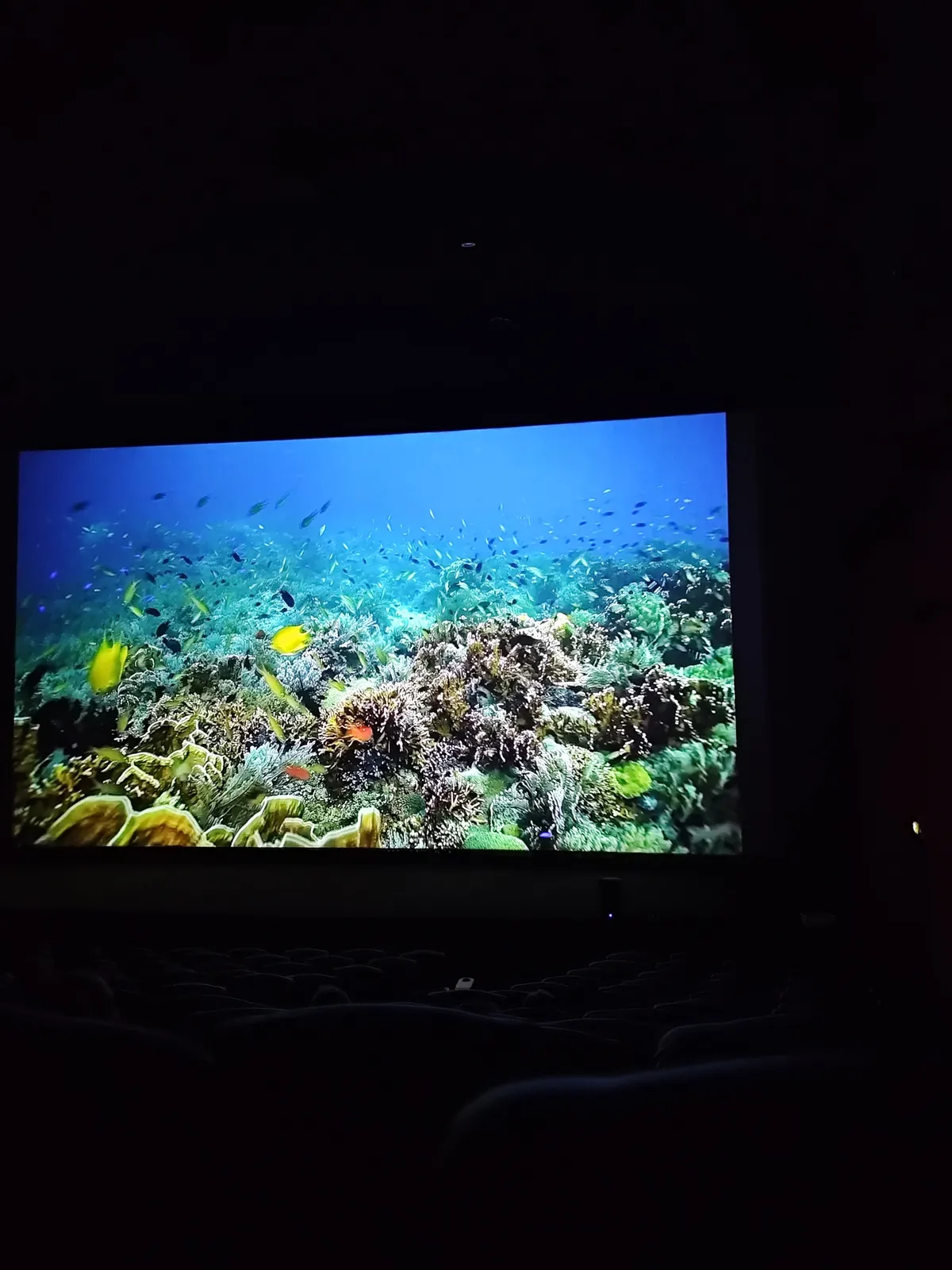 Sortie cinéma 