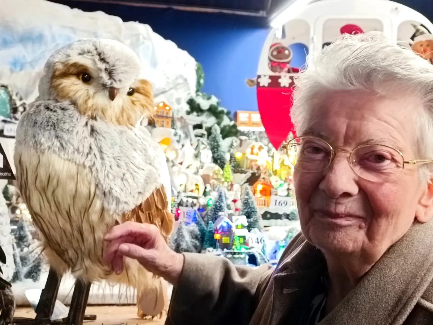 Illuminations et marché de terroir : une journée magique pour les fêtes de fin d'année