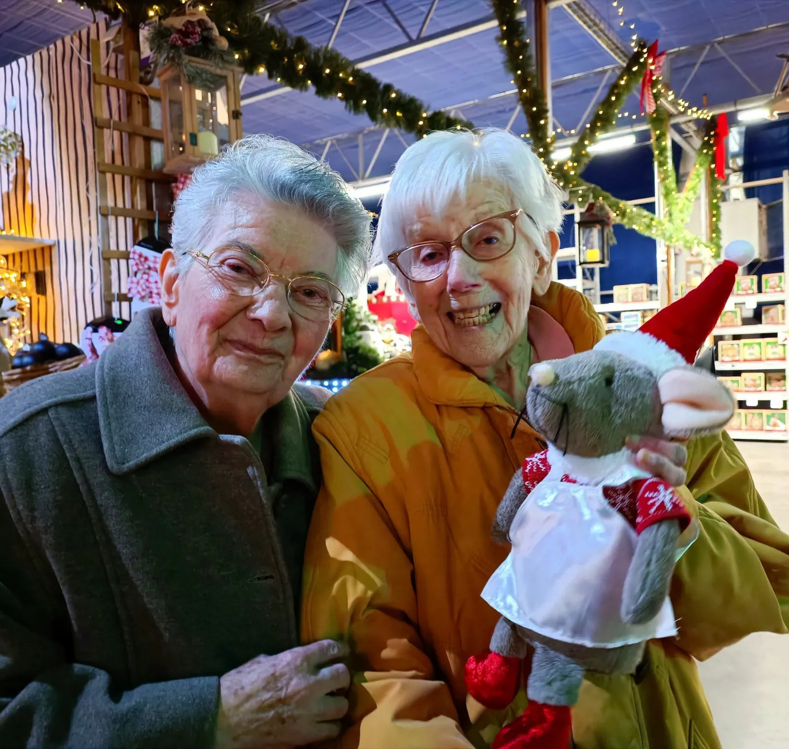 Illuminations et marché de terroir : une journée magique pour les fêtes de fin d'année