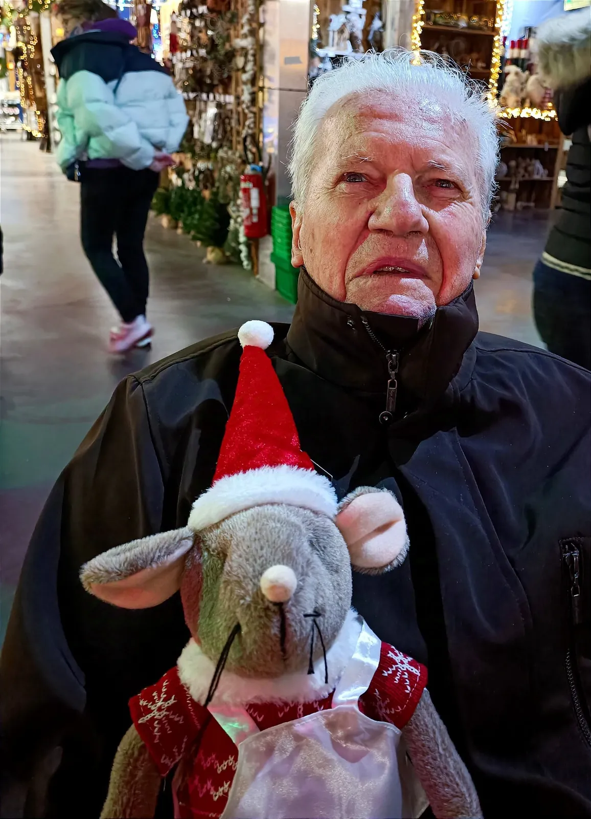 Illuminations et marché de terroir : une journée magique pour les fêtes de fin d'année