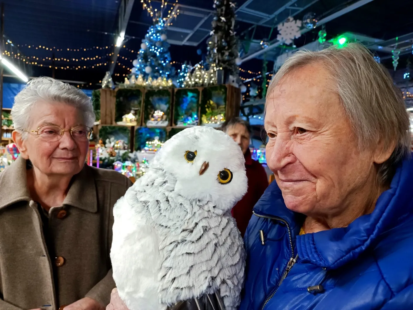 Illuminations et marché de terroir : une journée magique pour les fêtes de fin d'année