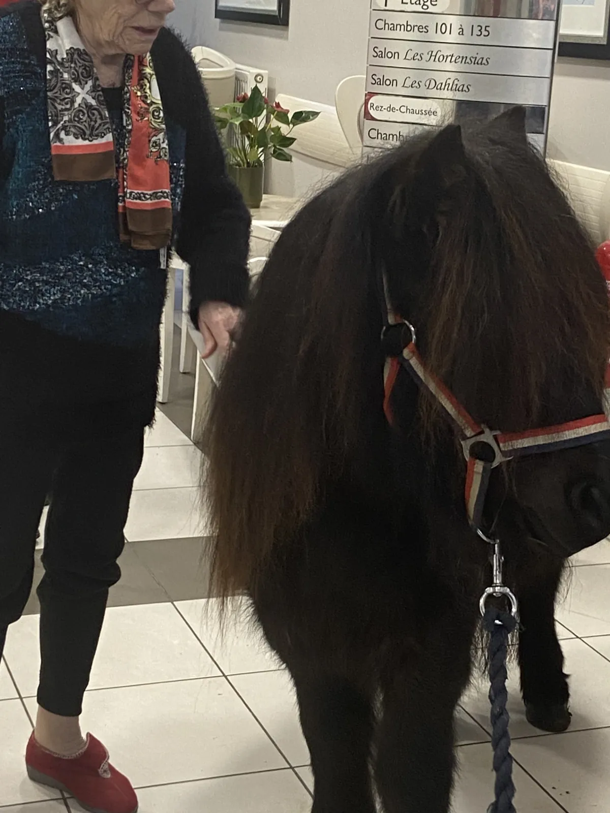 Visite surprise à la résidence 