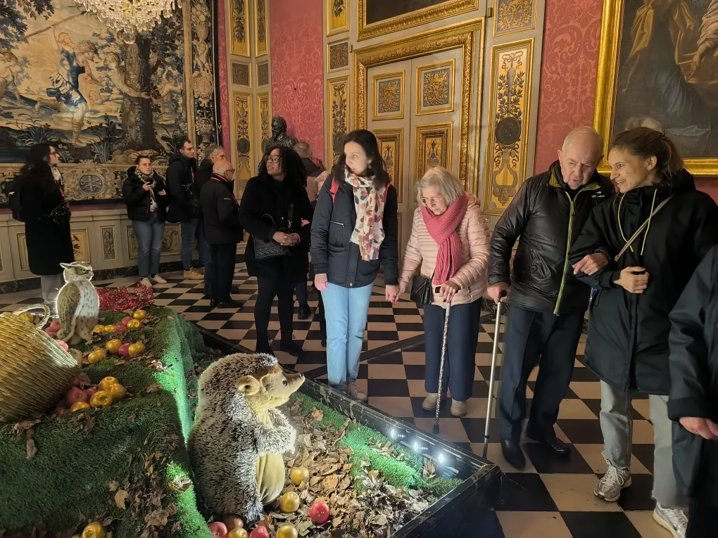 UNE SORTIE FEERIQUE AU CHATEAU DE  VAUX-LE-VICOMTE 