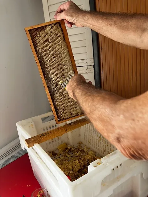 Une belle découverte autour du miel 
