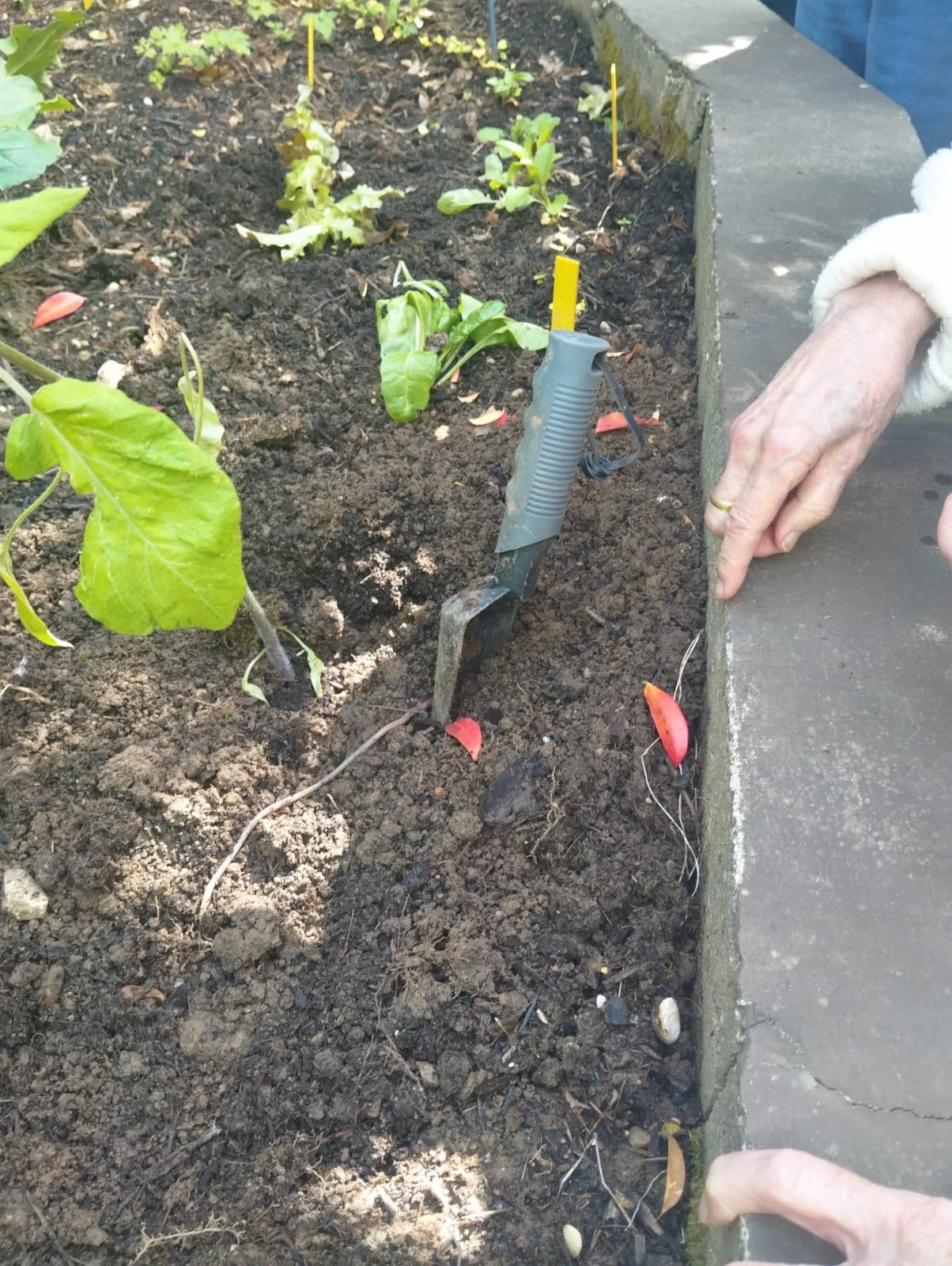 Les résidents de l'unité protégée cultivent le potager de la résidence