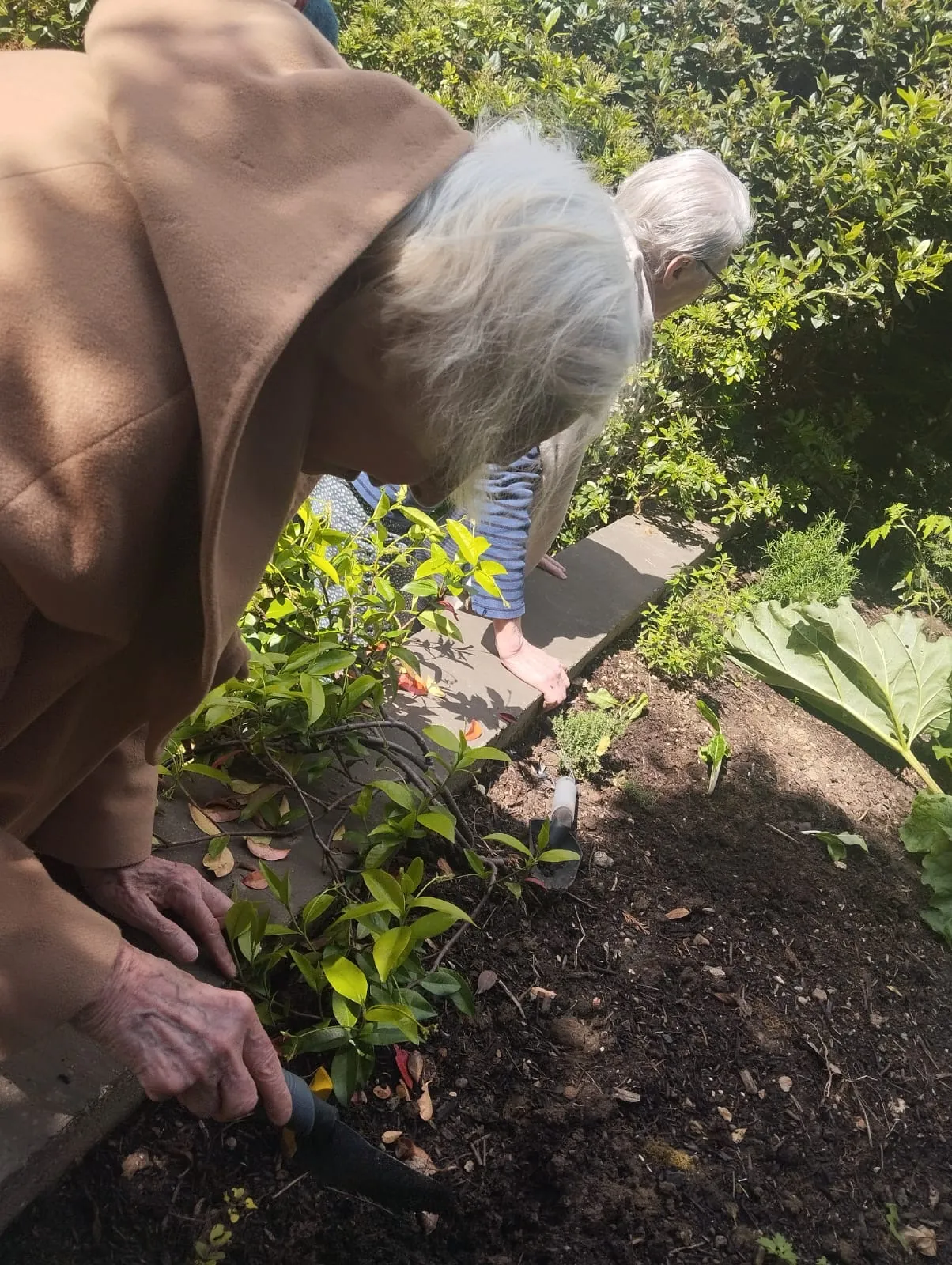 Les résidents de l'unité protégée cultivent le potager de la résidence