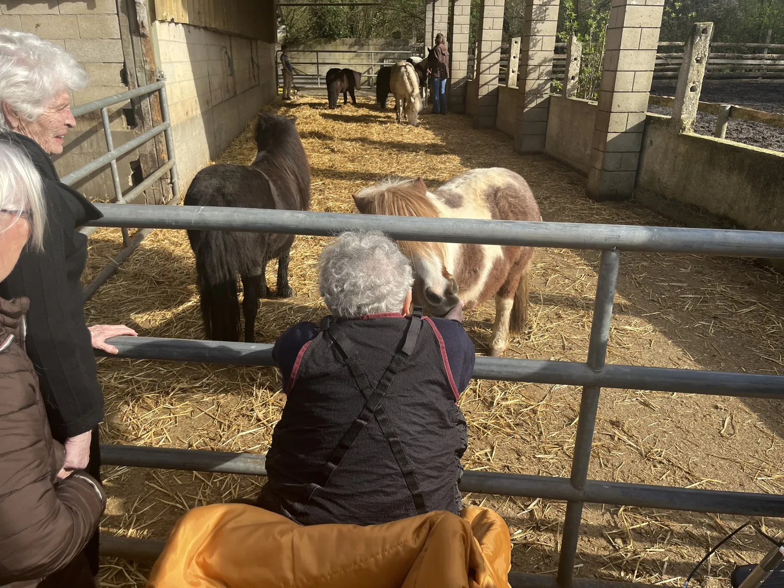 Sortie du mois de Mars 