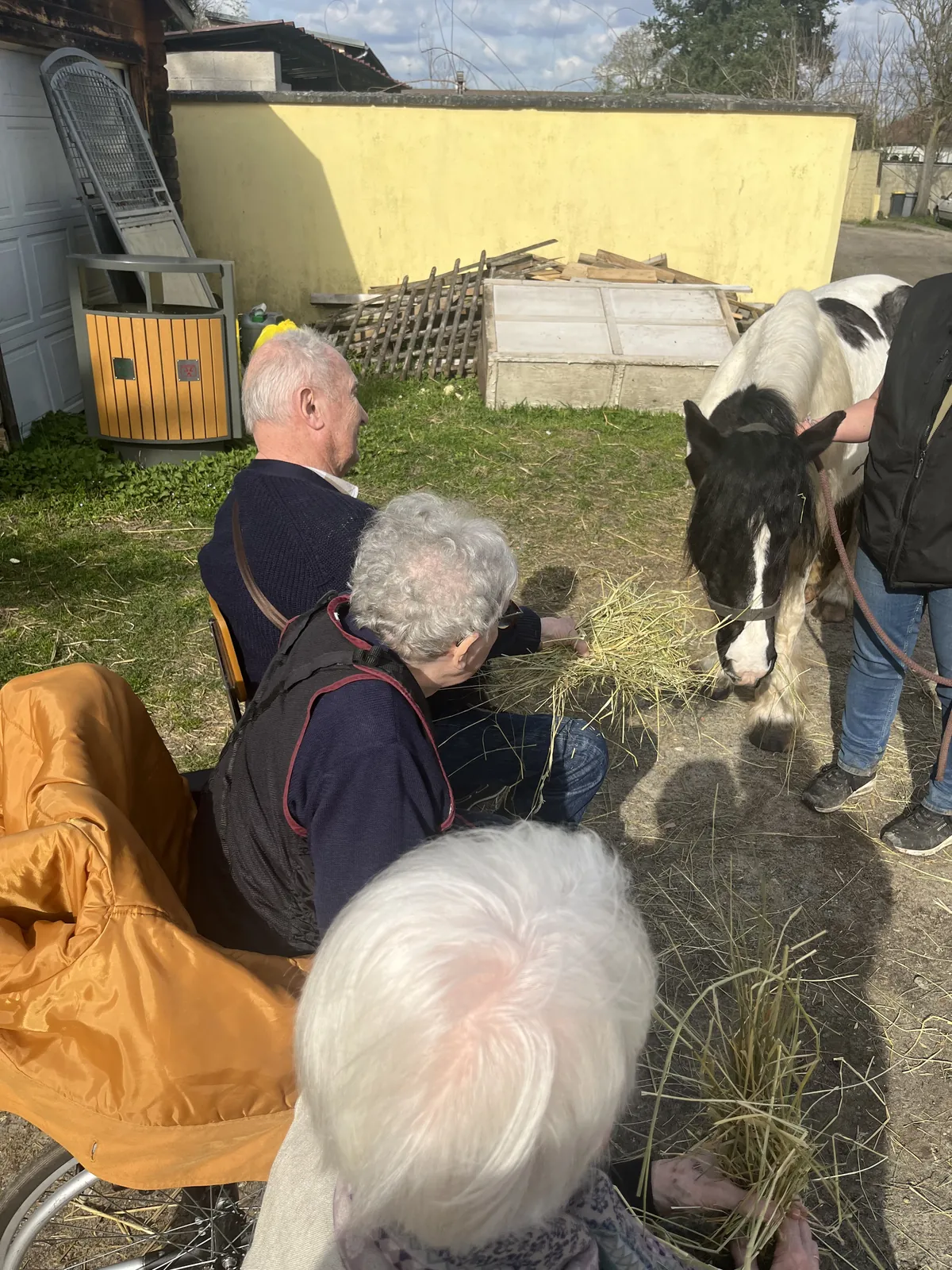 Sortie du mois de Mars 