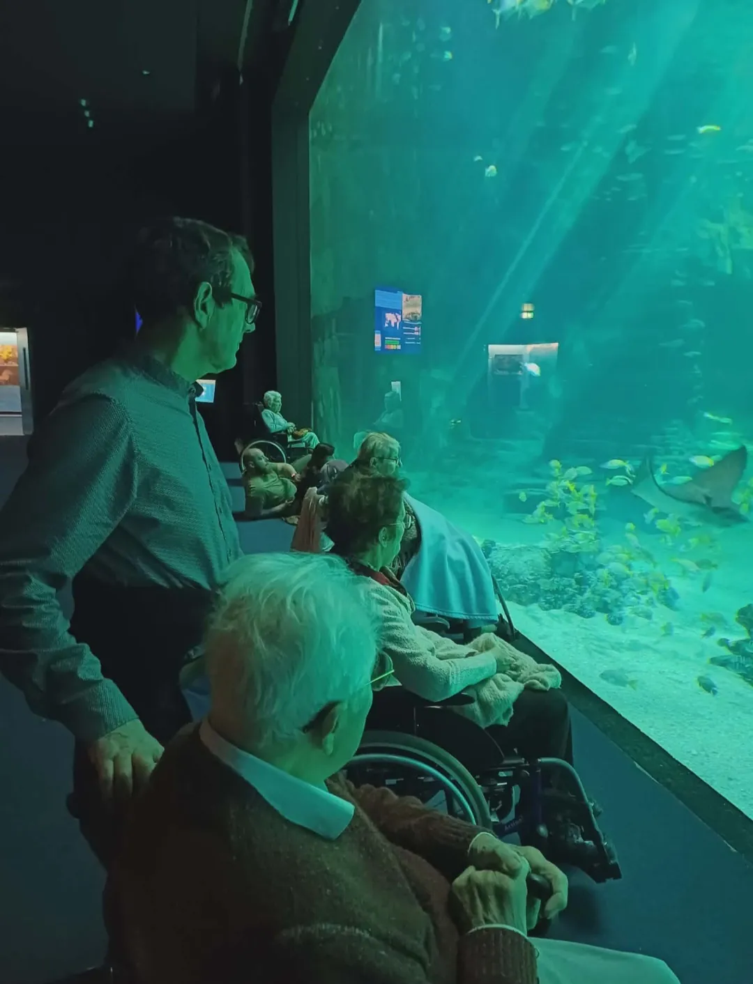 Sortie à l'aquarium Nausicaa