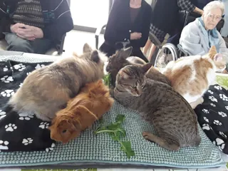 Médiation animale du mois de mars 
