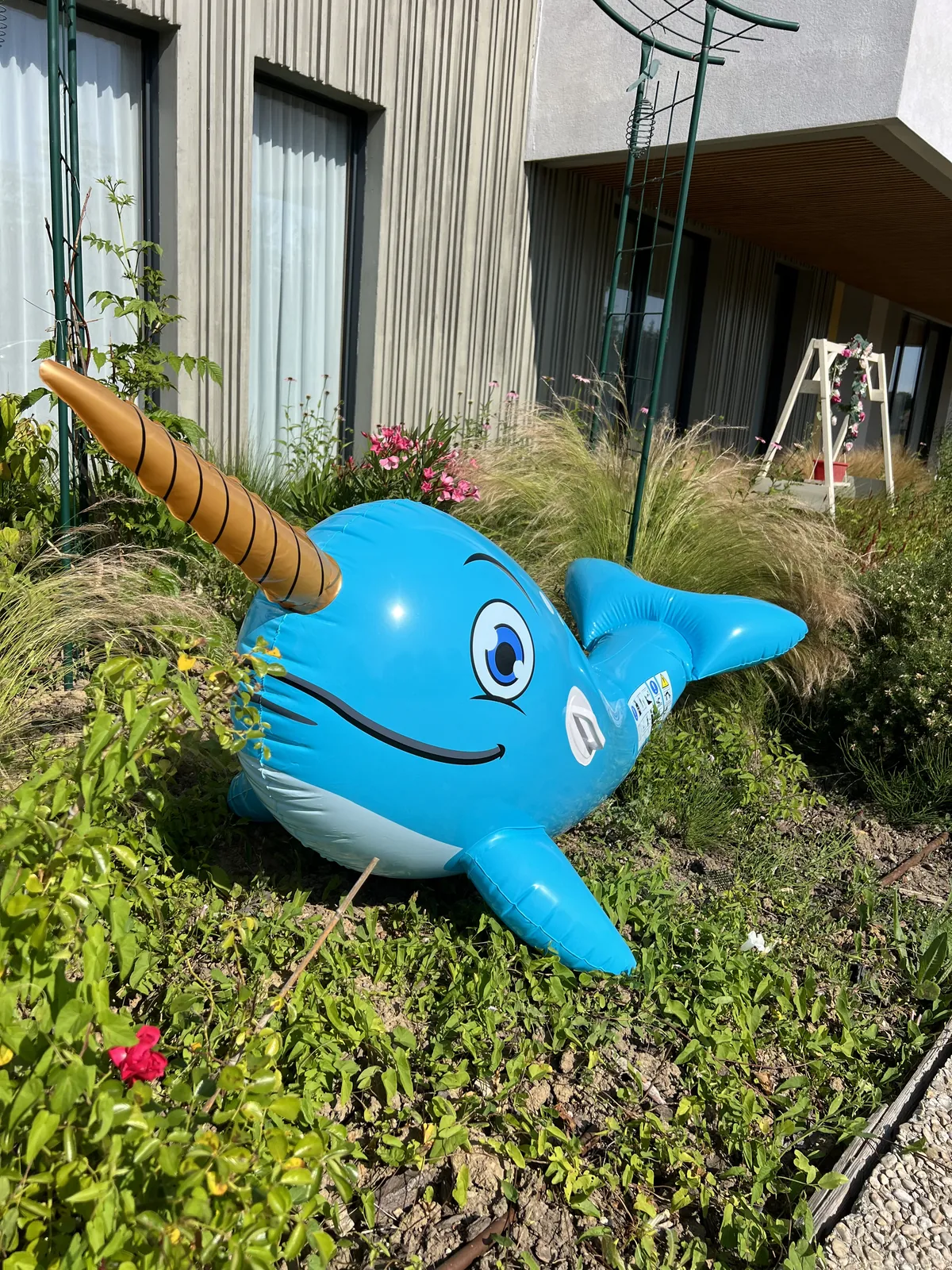 L'été arrive aux Jardins de l’Aunette : place aux rires, aux bouées et aux souvenirs