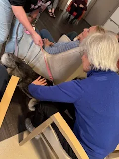 Une visite pleine de tendresse avec Moon 