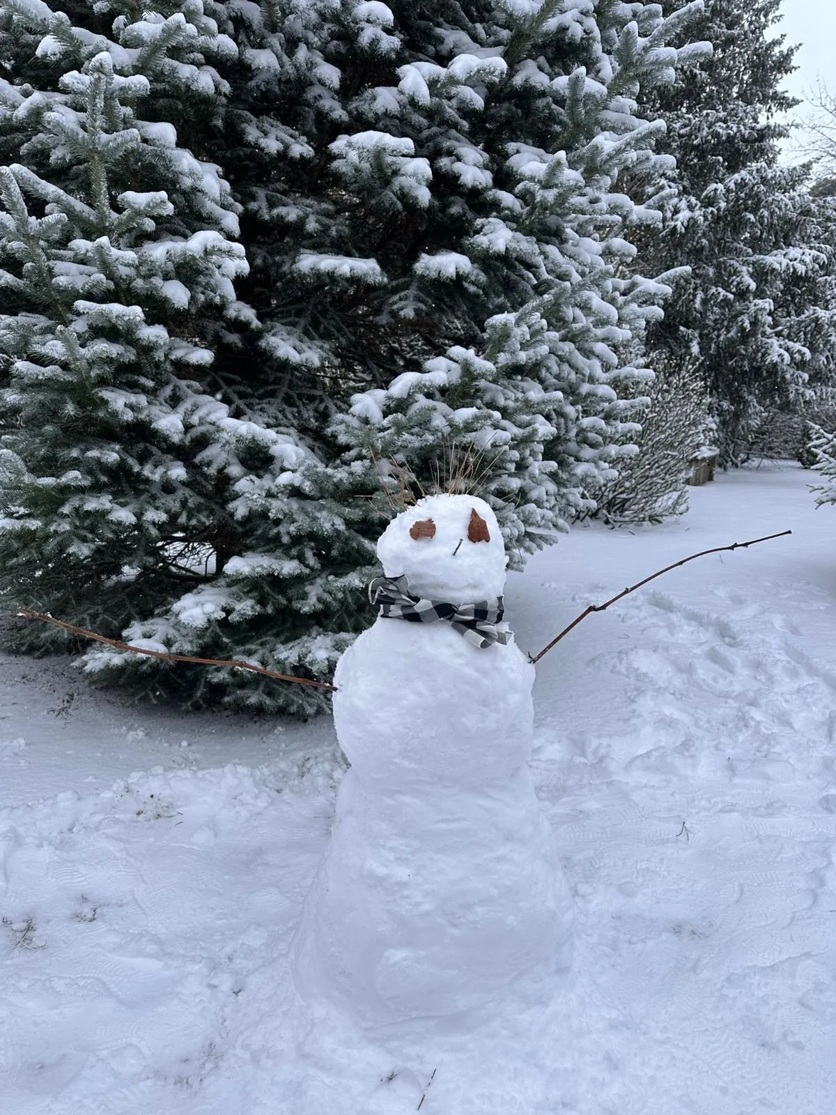 Un souffle d’hiver dans le jardin
