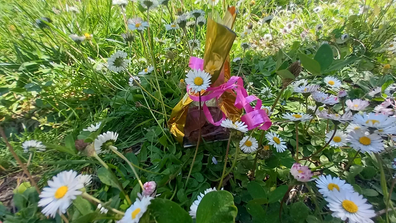 CHORALE DE PRINTEMPS ET CHASSE A L'OEUF
