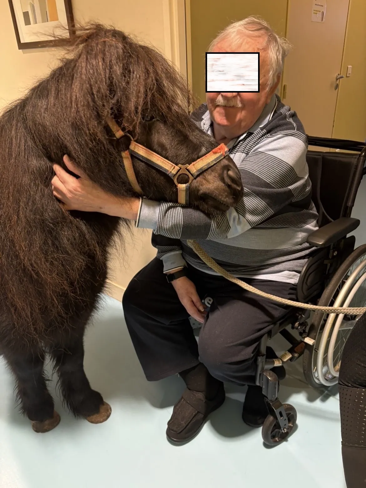 La visite du poneys d’Octaf