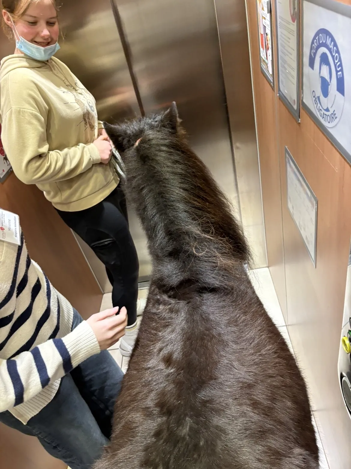 La visite du poneys d’Octaf