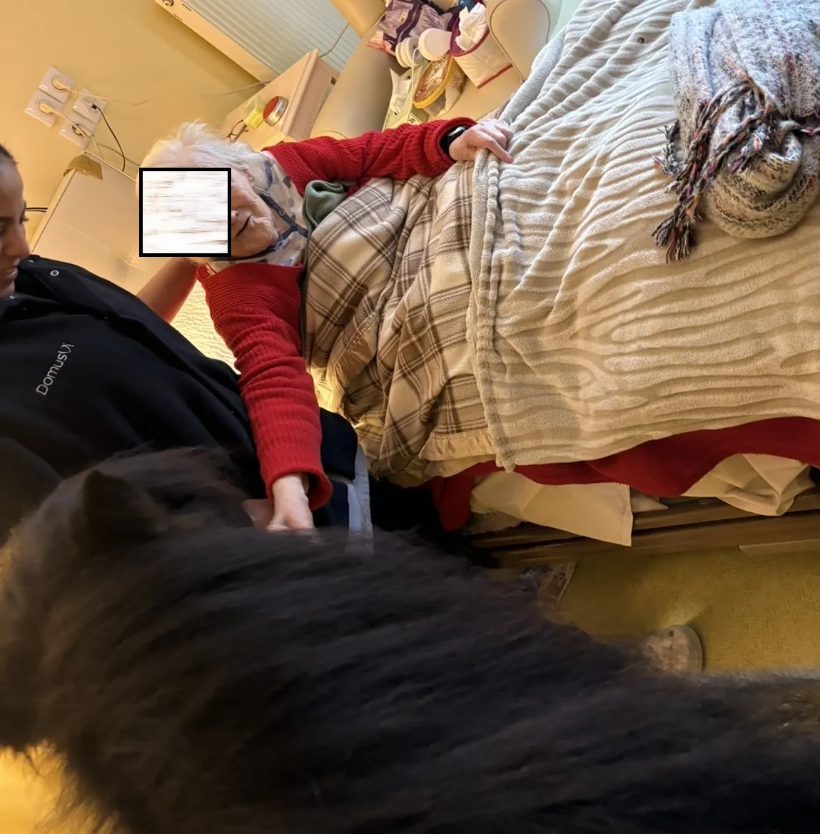 La visite du poneys d’Octaf