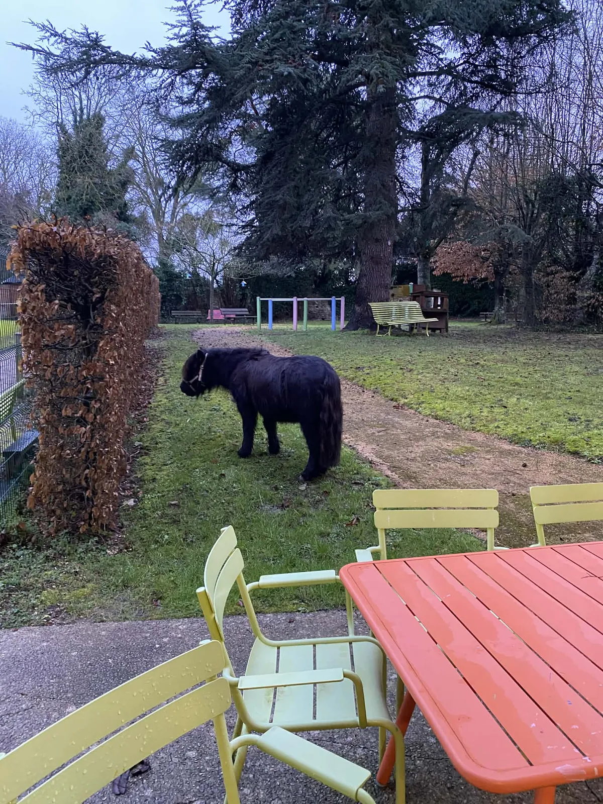 La visite du poneys d’Octaf