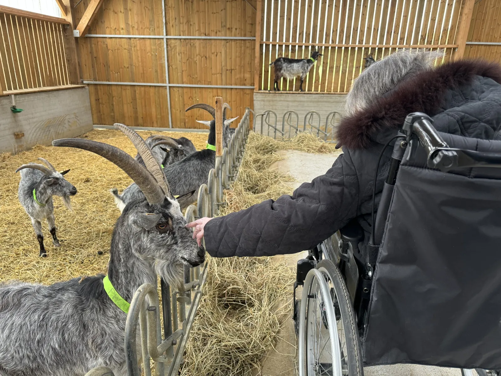 Sortie du mois d'avril