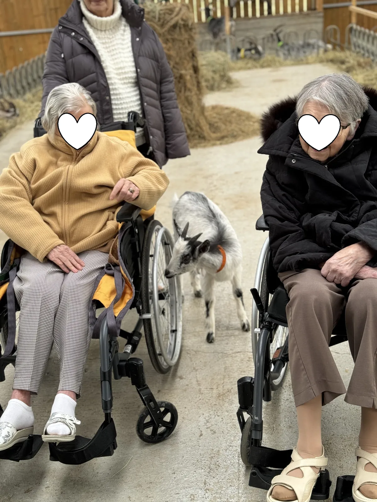Sortie du mois d'avril