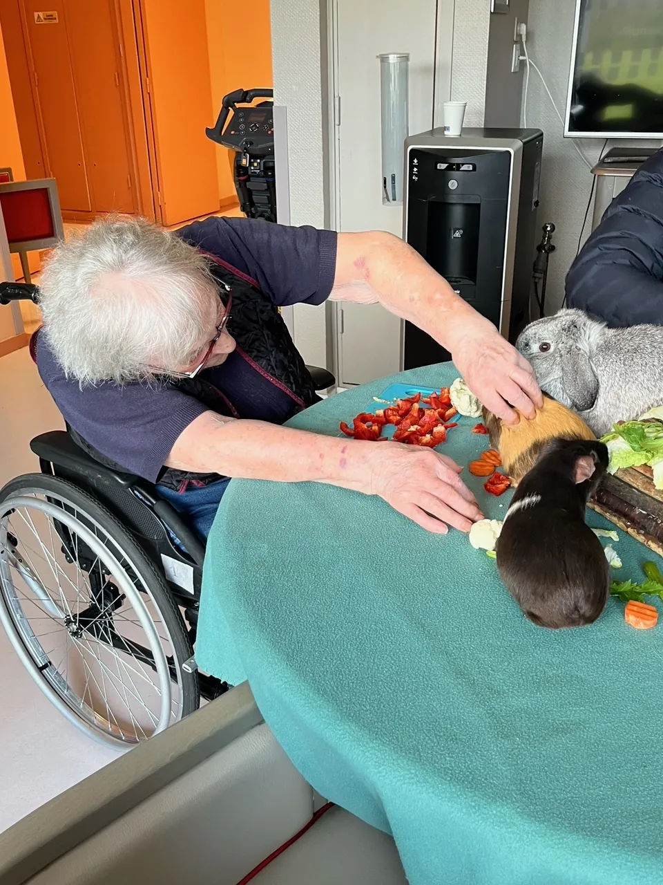 Médiation animale au Rez de chaussée 