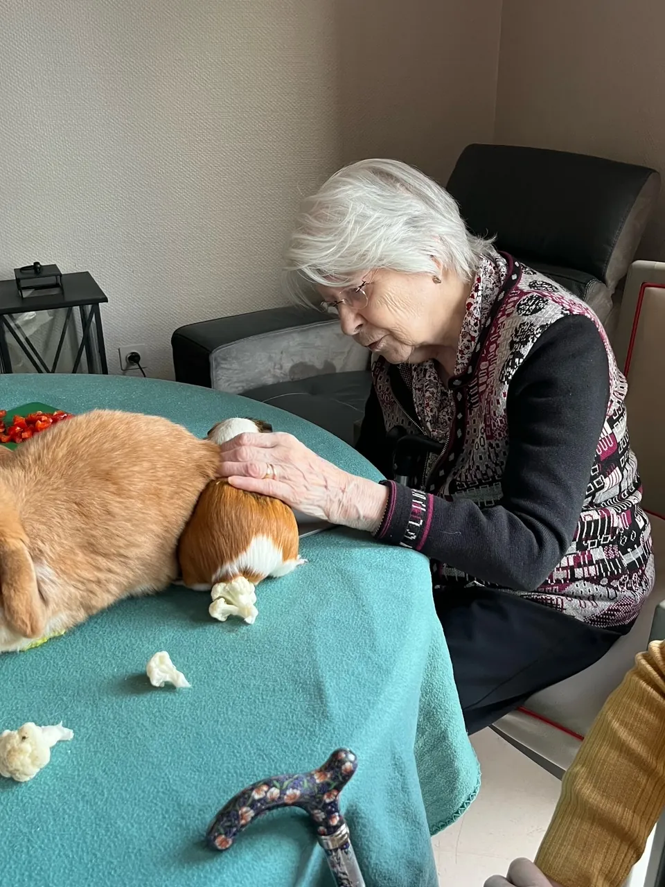 Médiation animale au Rez de chaussée 