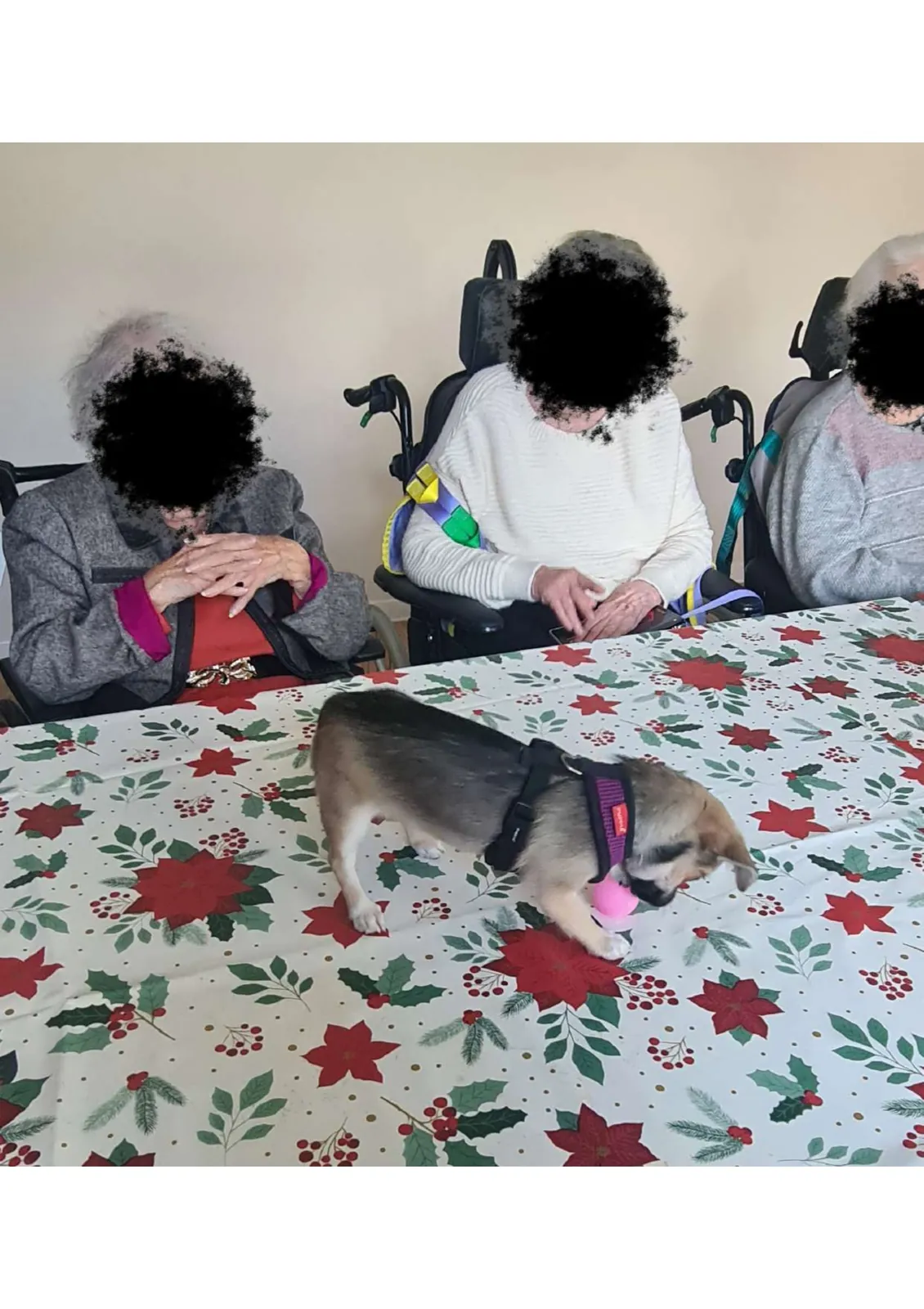 102 ans à l’honneur ! 