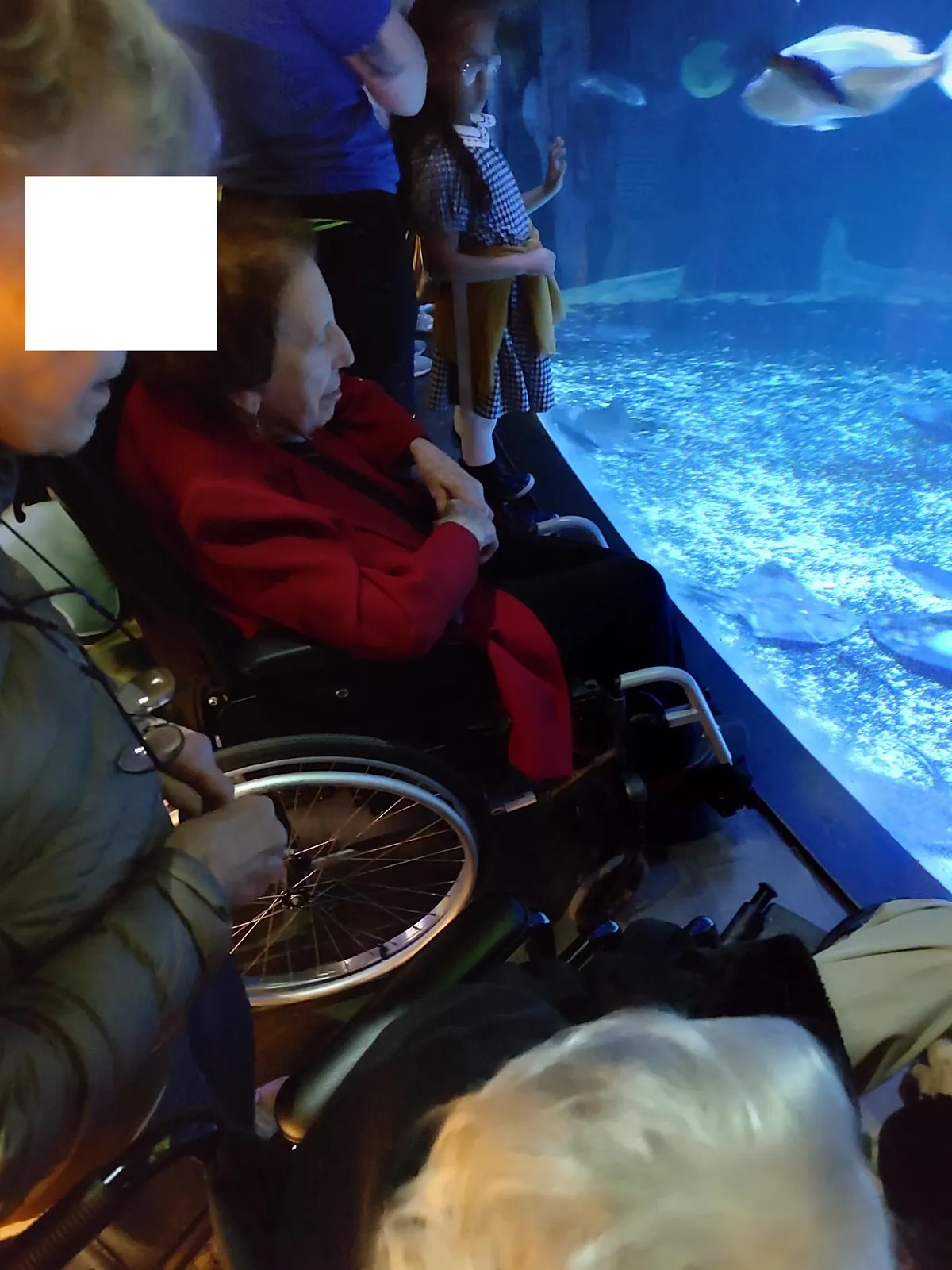 Visite de l'aquarium de Paris au Trocadéro.