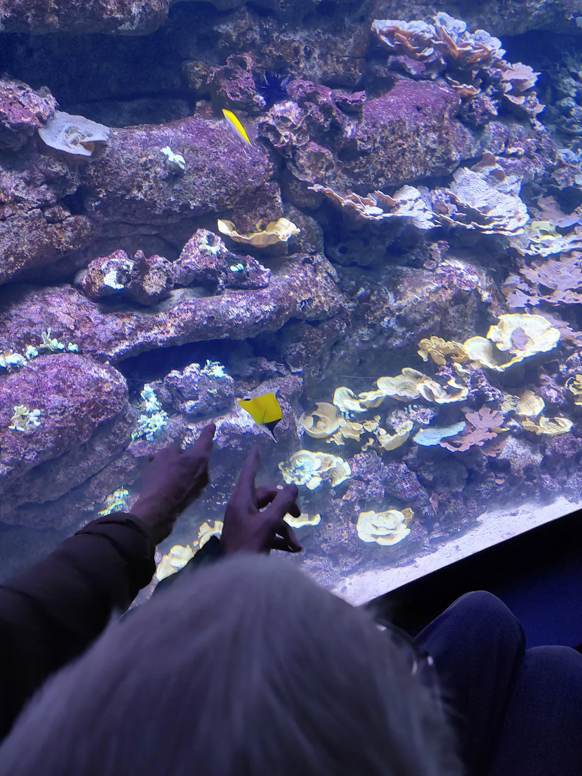 Visite de l'aquarium de Paris au Trocadéro.