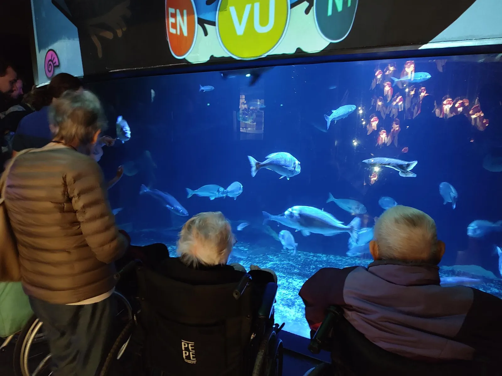 Visite de l'aquarium de Paris au Trocadéro.