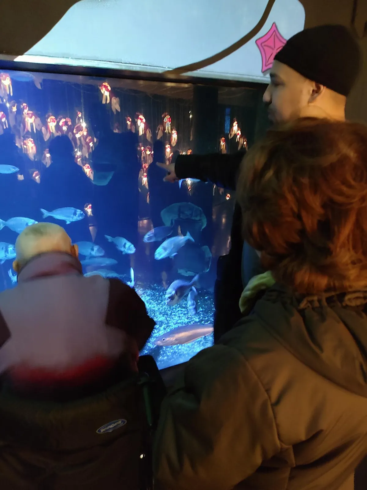 Visite de l'aquarium de Paris au Trocadéro.