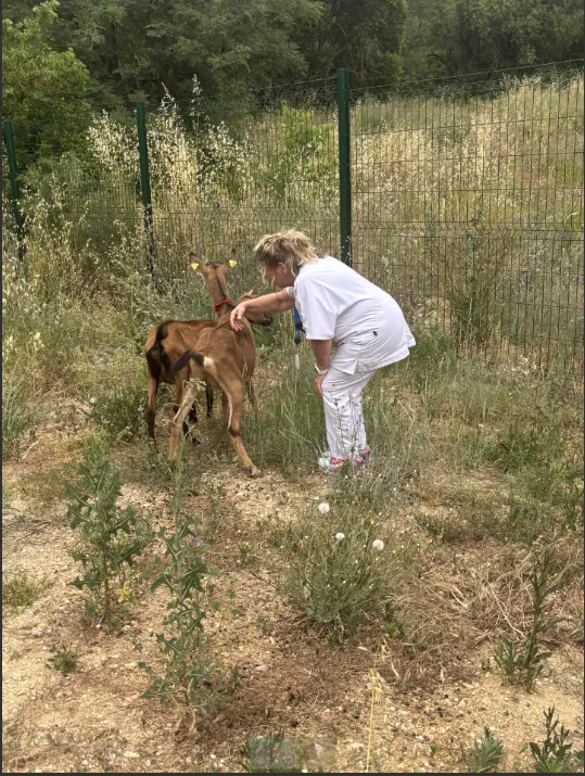 Deux nouvelles arrivantes à l’EHPAD !